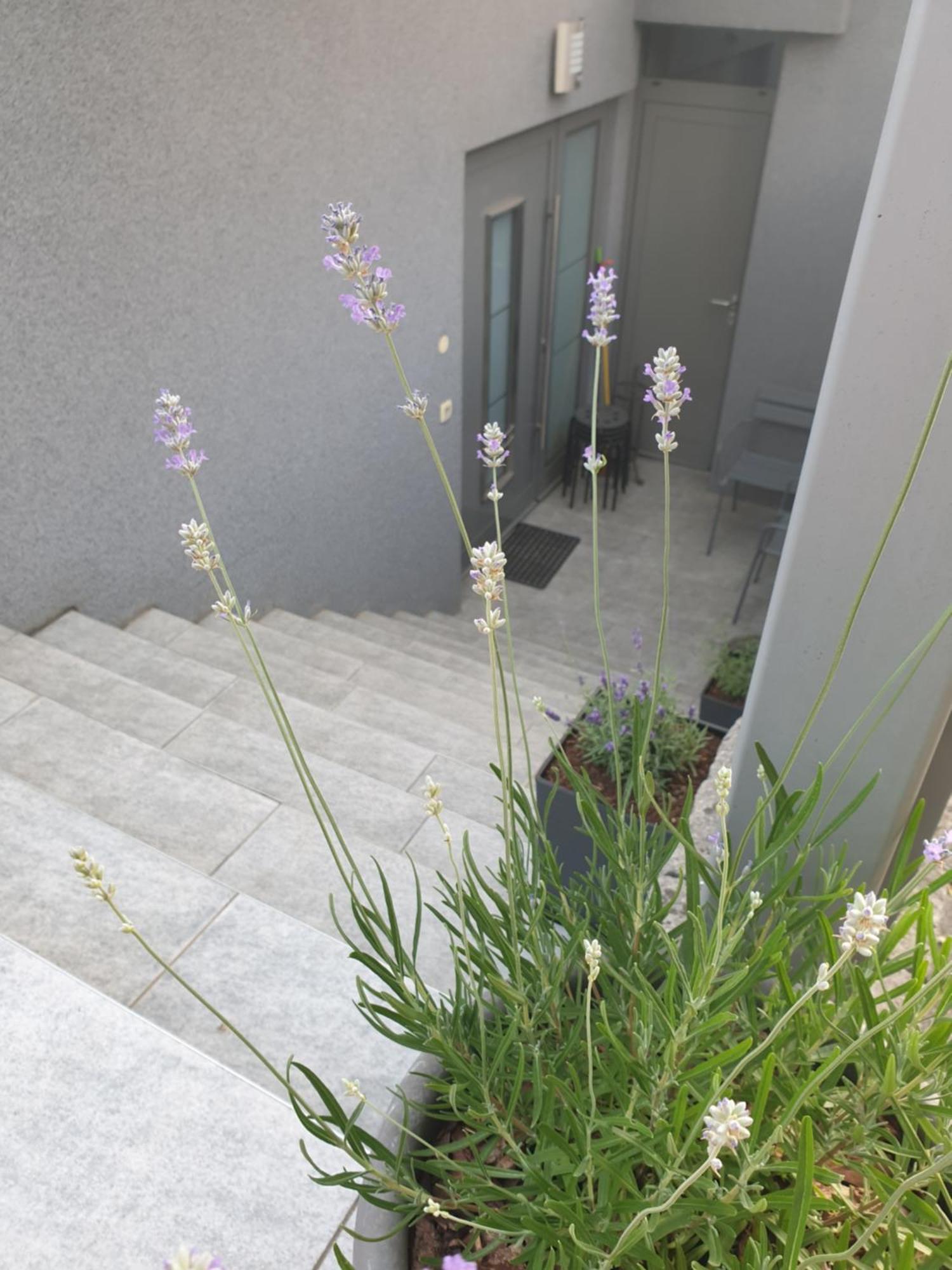 Apartment Emma Ljubljana - Free Parking, Ac, Wifi Bilik gambar